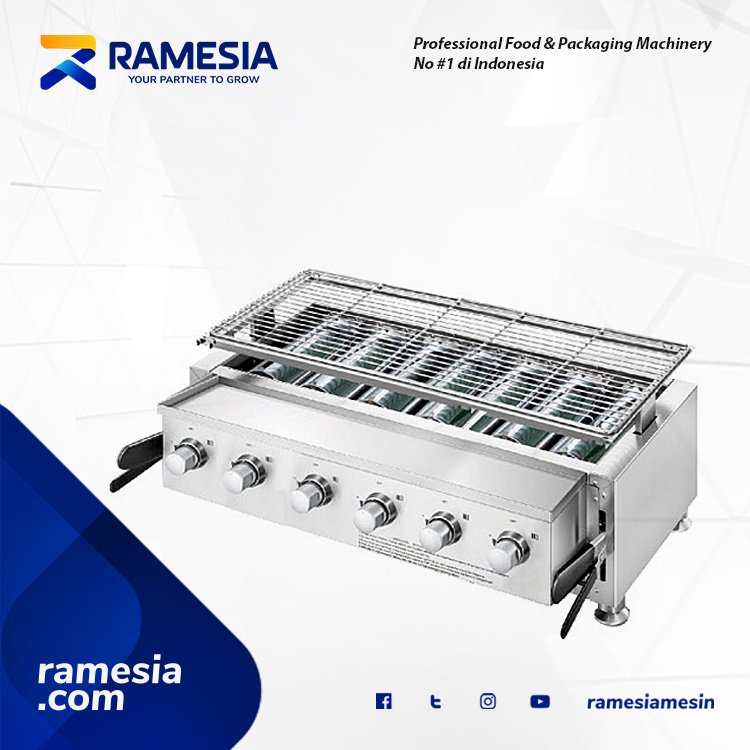 Luxurious Gas Roaster BS-236V Stainless